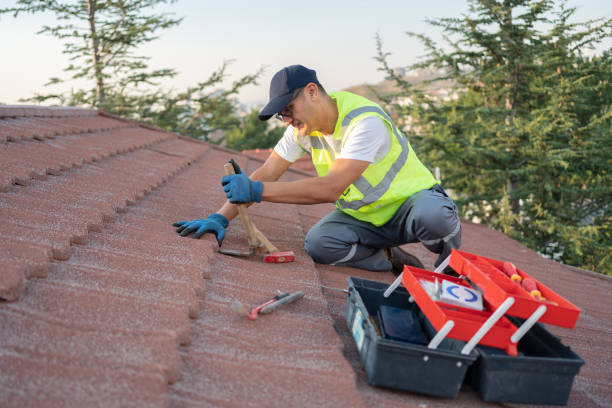Best Metal Roofing Contractor  in Nibley, UT